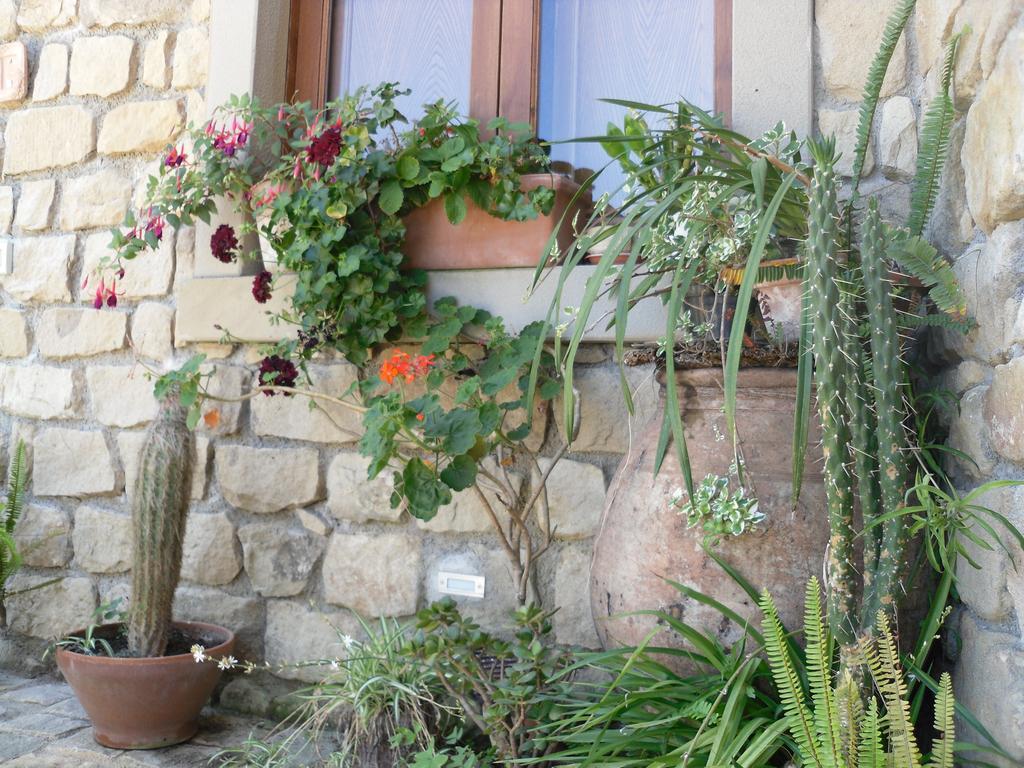 San Noto Antica Residenza Di Caccia Bed & Breakfast Ficarra Exterior photo