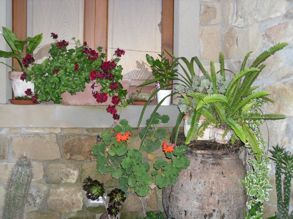 San Noto Antica Residenza Di Caccia Bed & Breakfast Ficarra Room photo